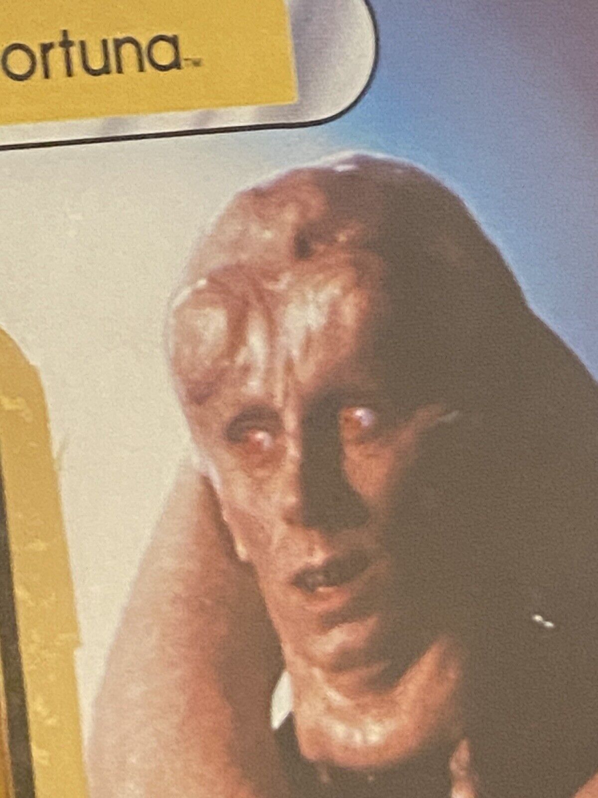 Bib Fortuna sold