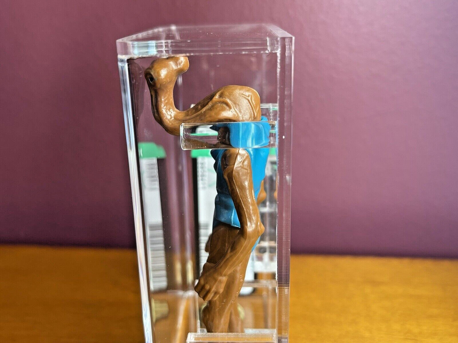 Hammerhead sold