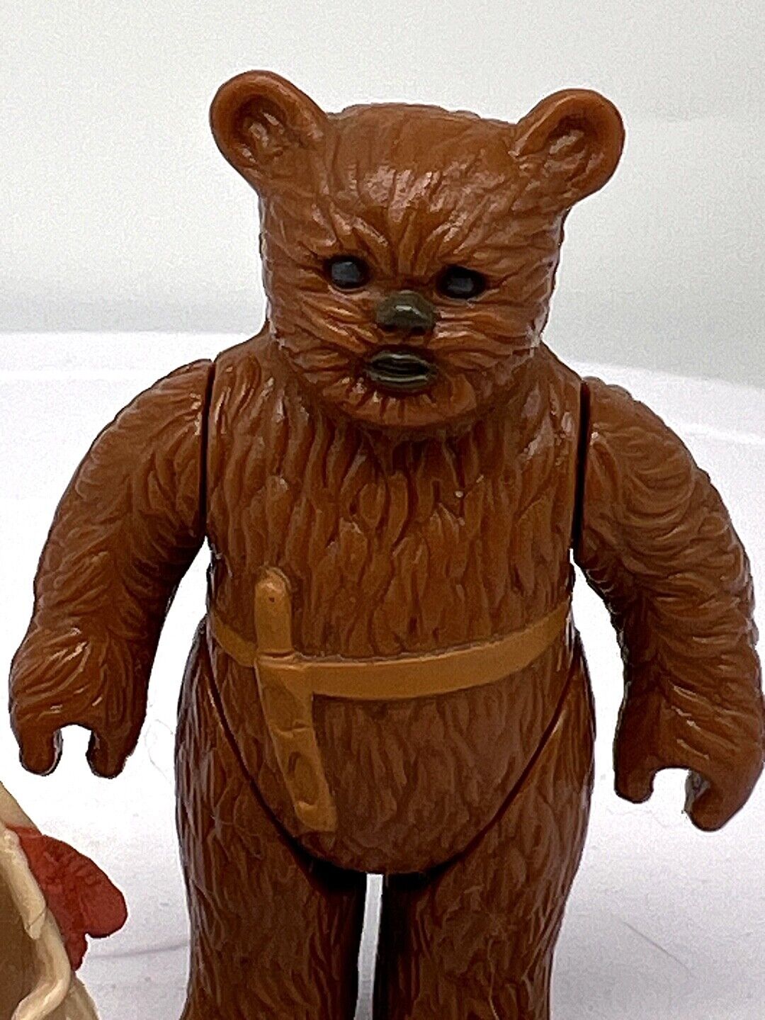 Paploo sold