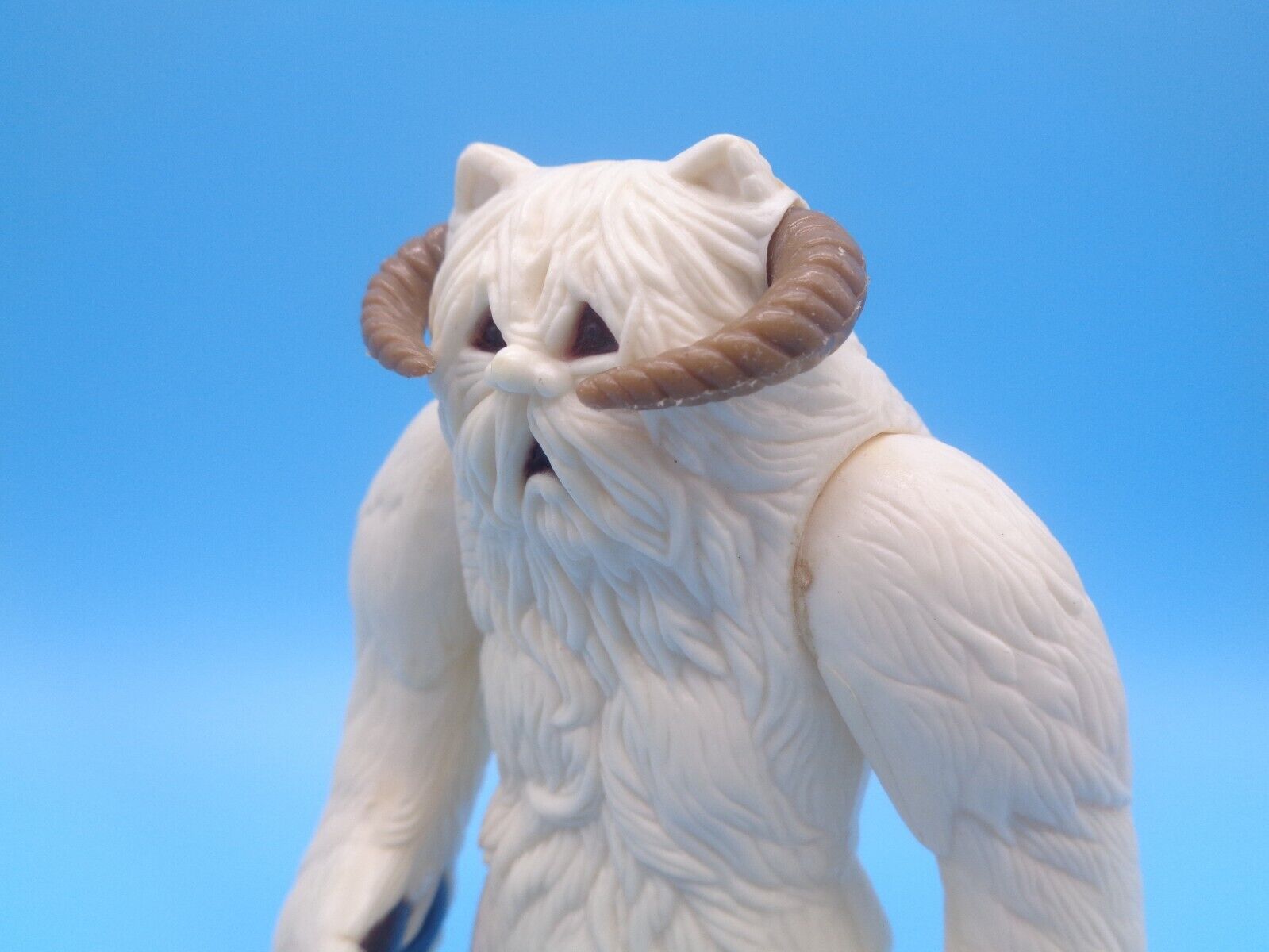 Wampa sold