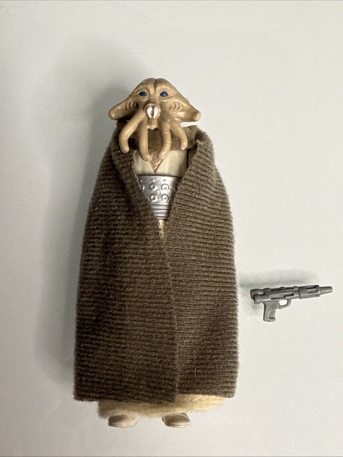 Squid Head sold