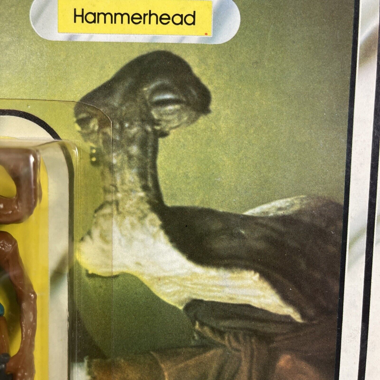Hammerhead sold