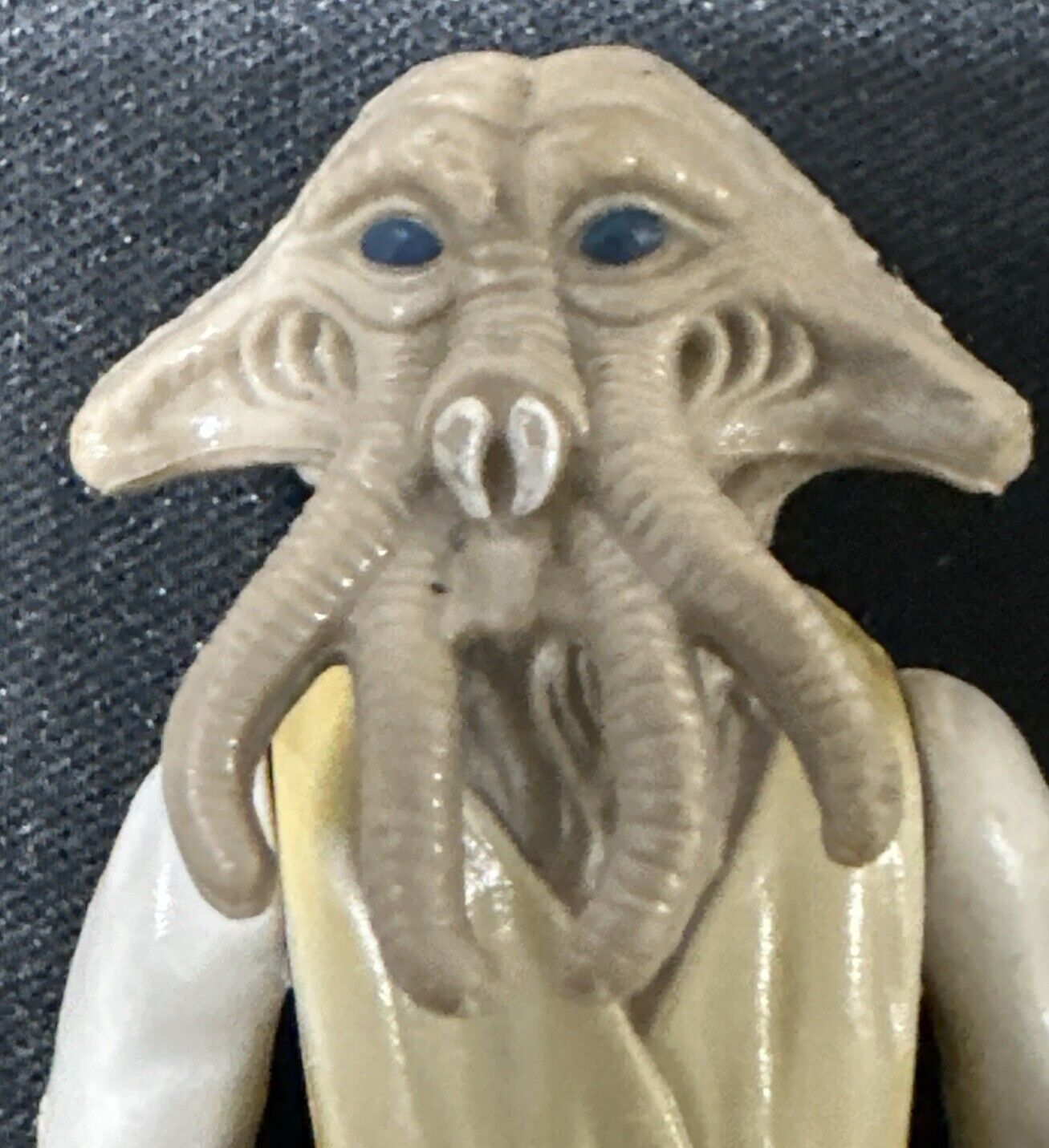 Squid Head sold