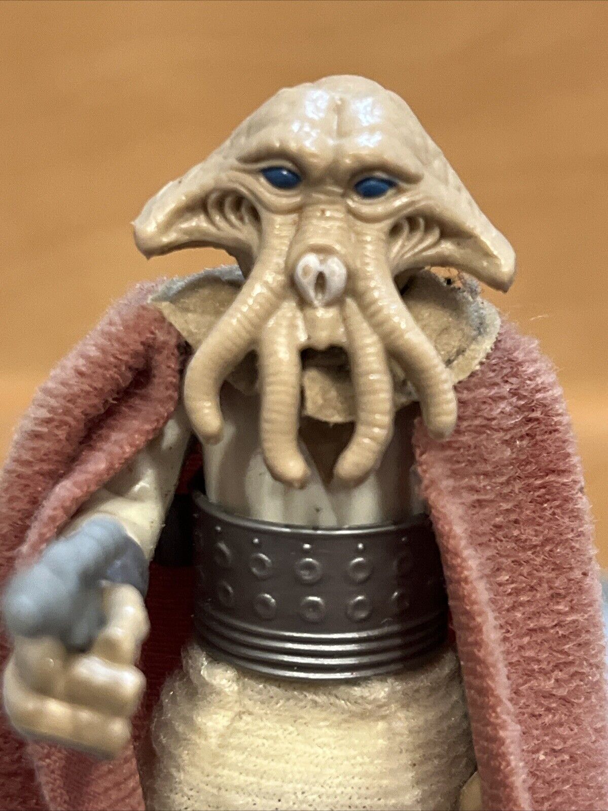 Squid Head sold