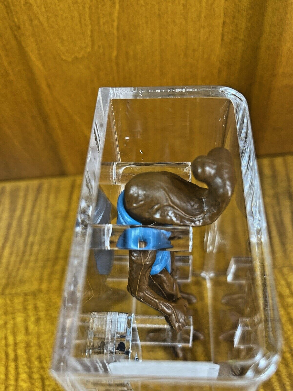 Hammerhead sold