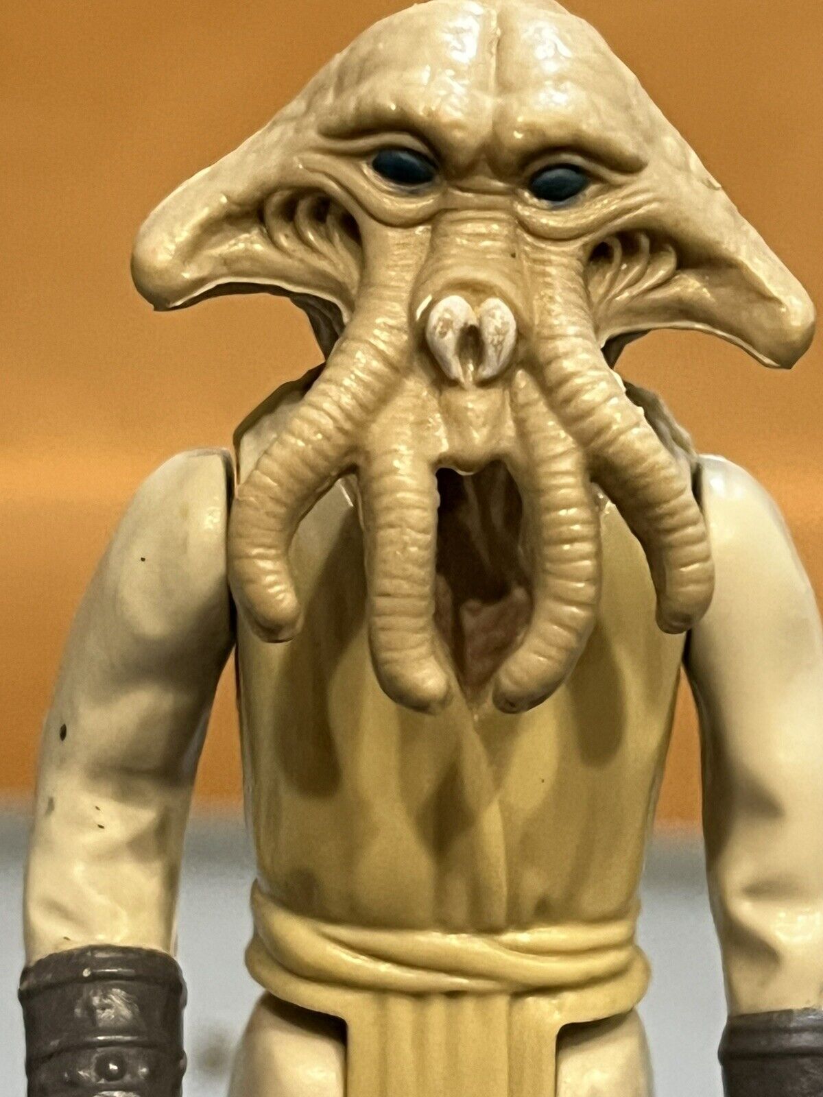 Squid Head sold