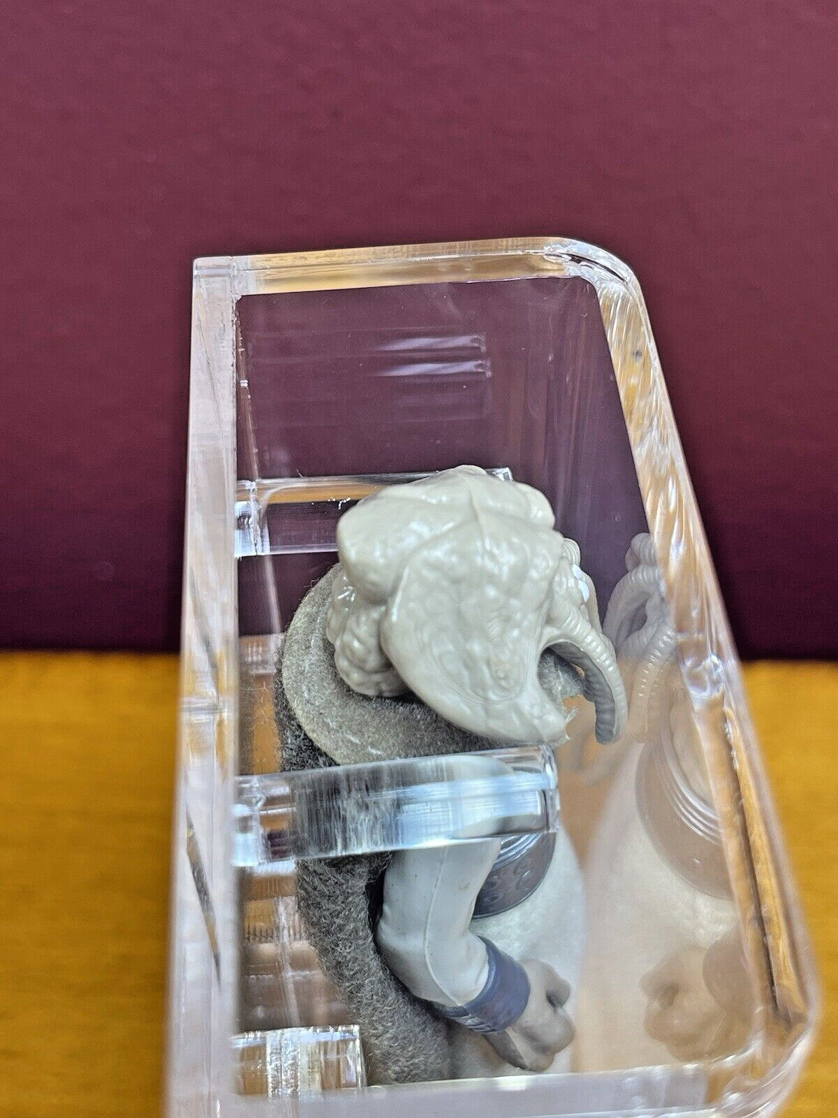 Squid Head sold