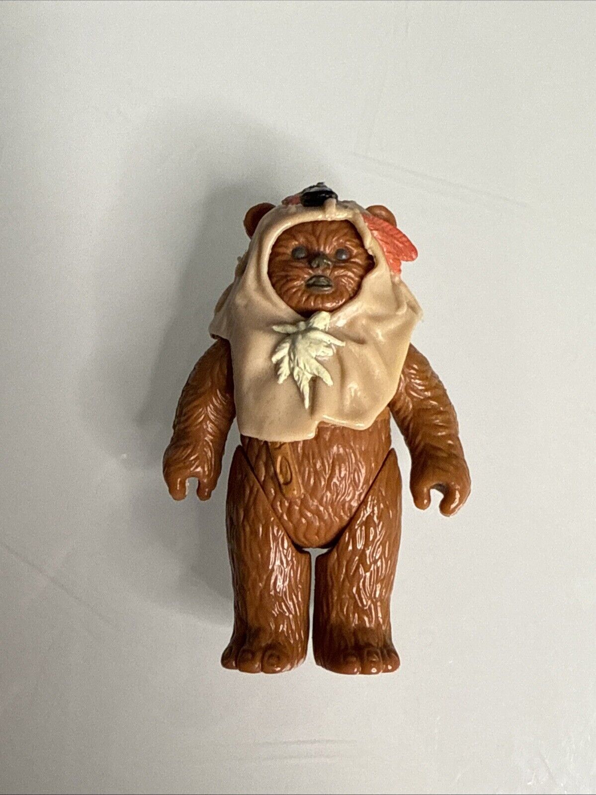 Paploo sold