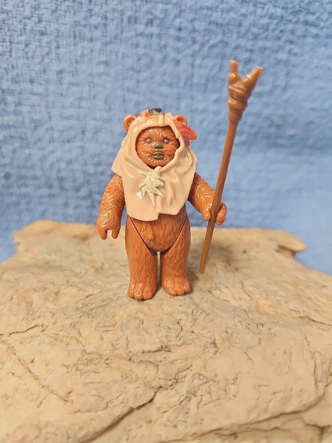 Paploo sold
