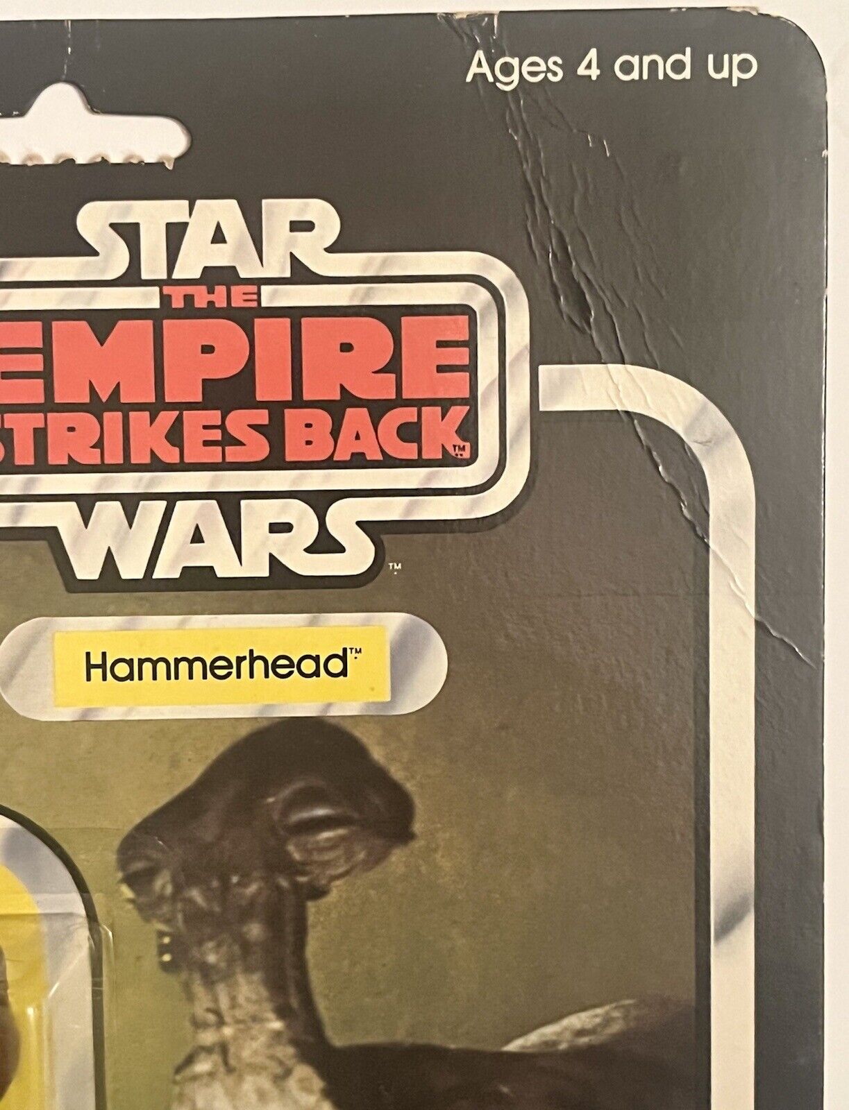 Hammerhead sold