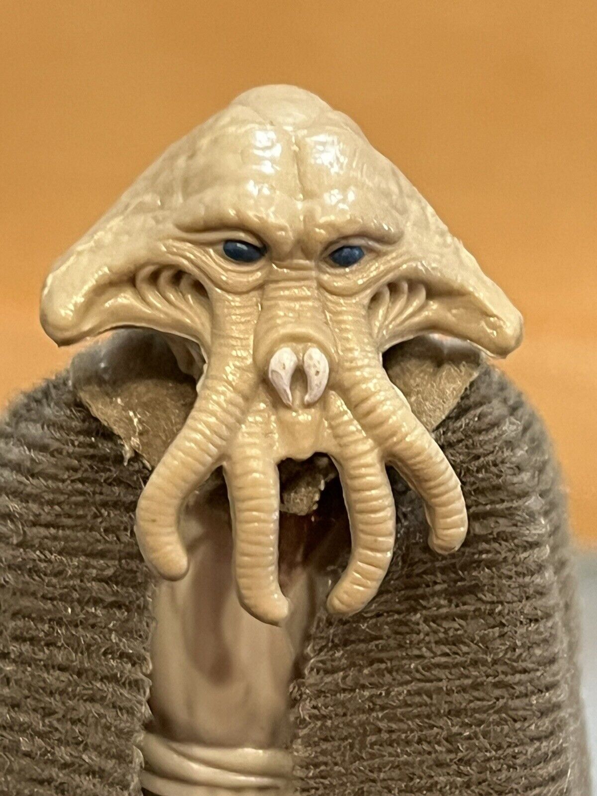 Squid Head sold