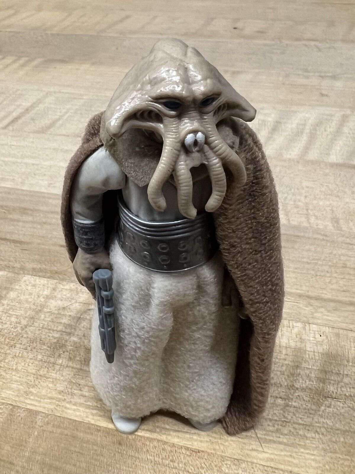 Squid Head sold
