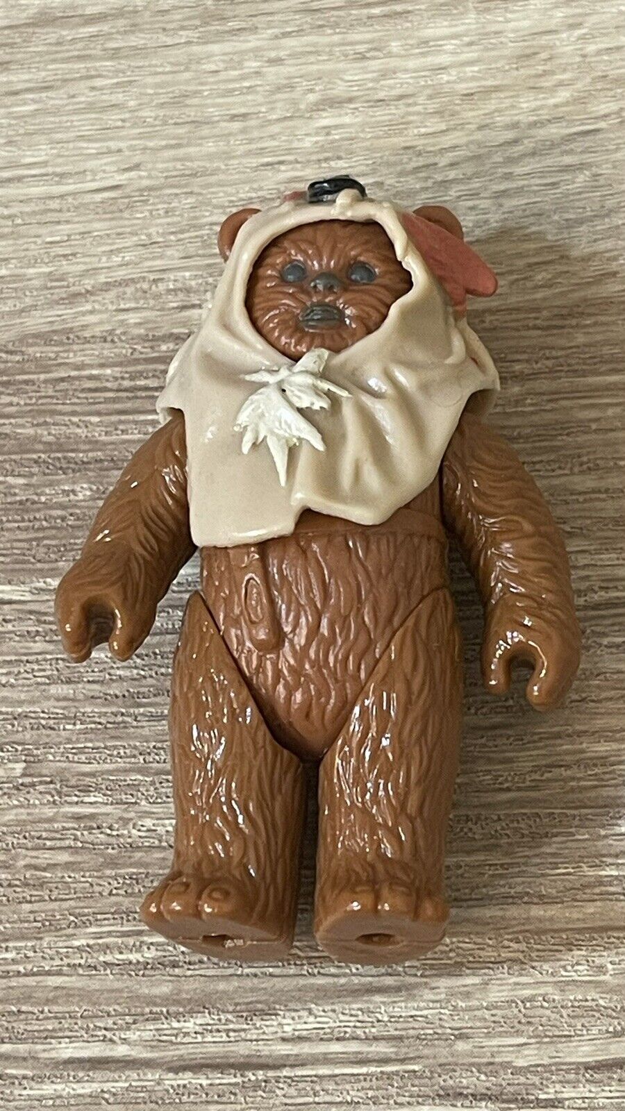 Paploo sold