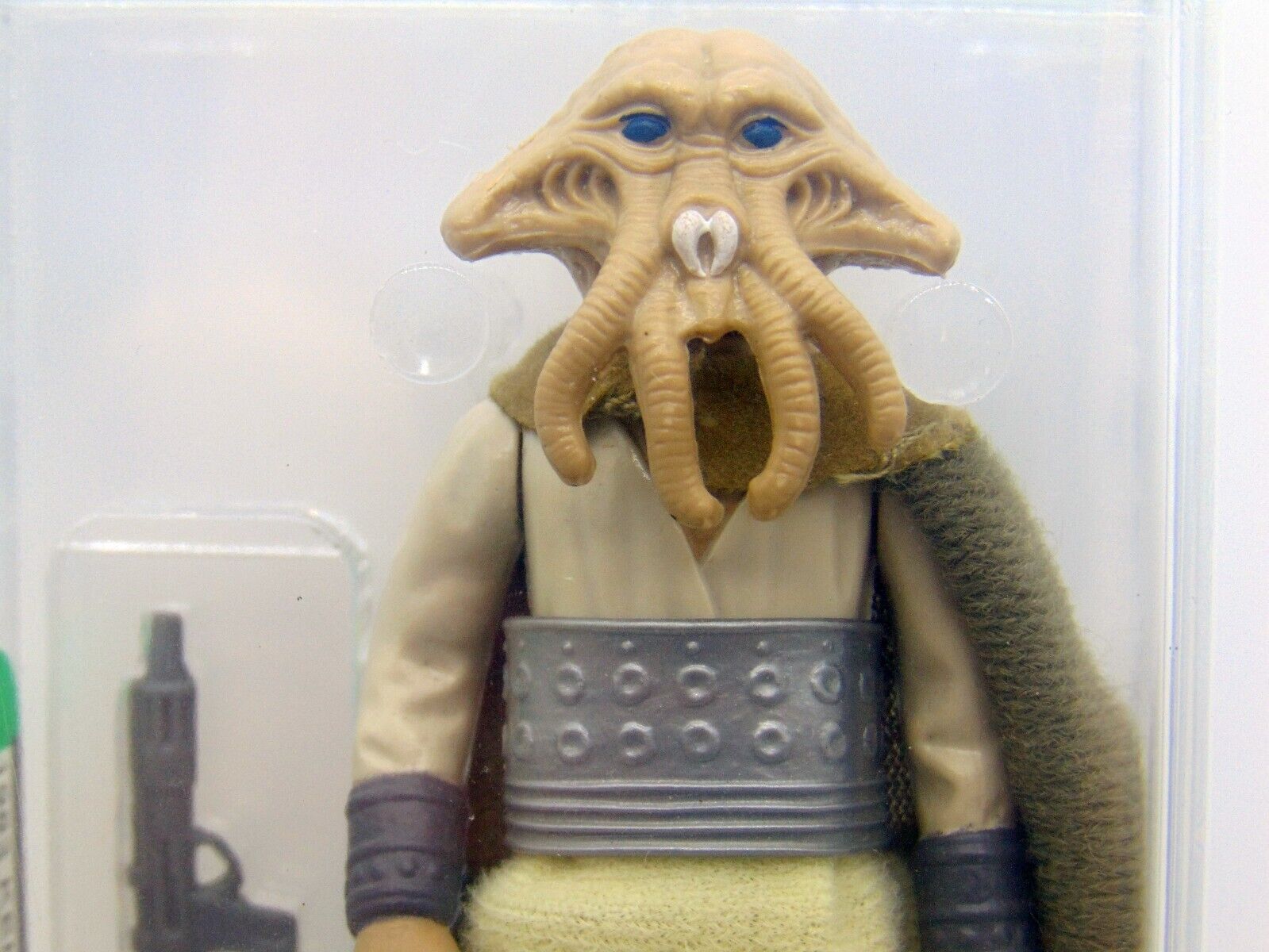 Squid Head sold
