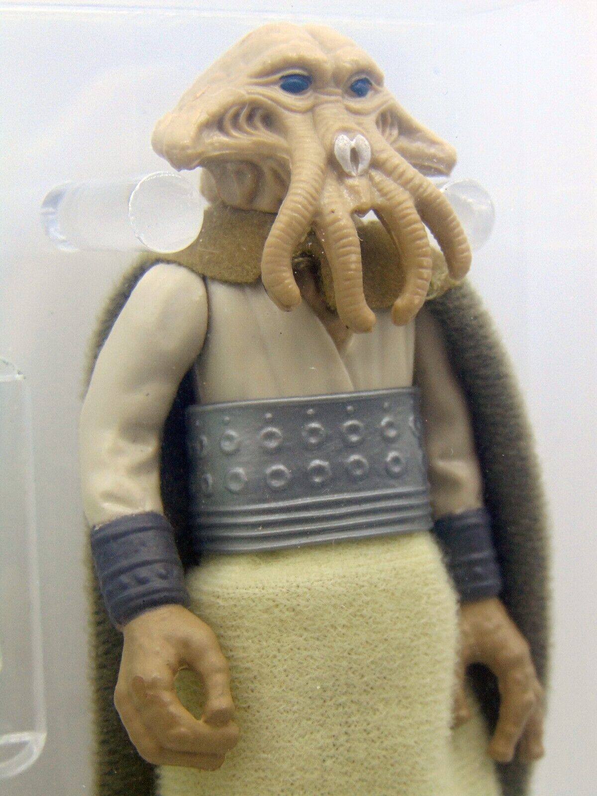 Squid Head sold