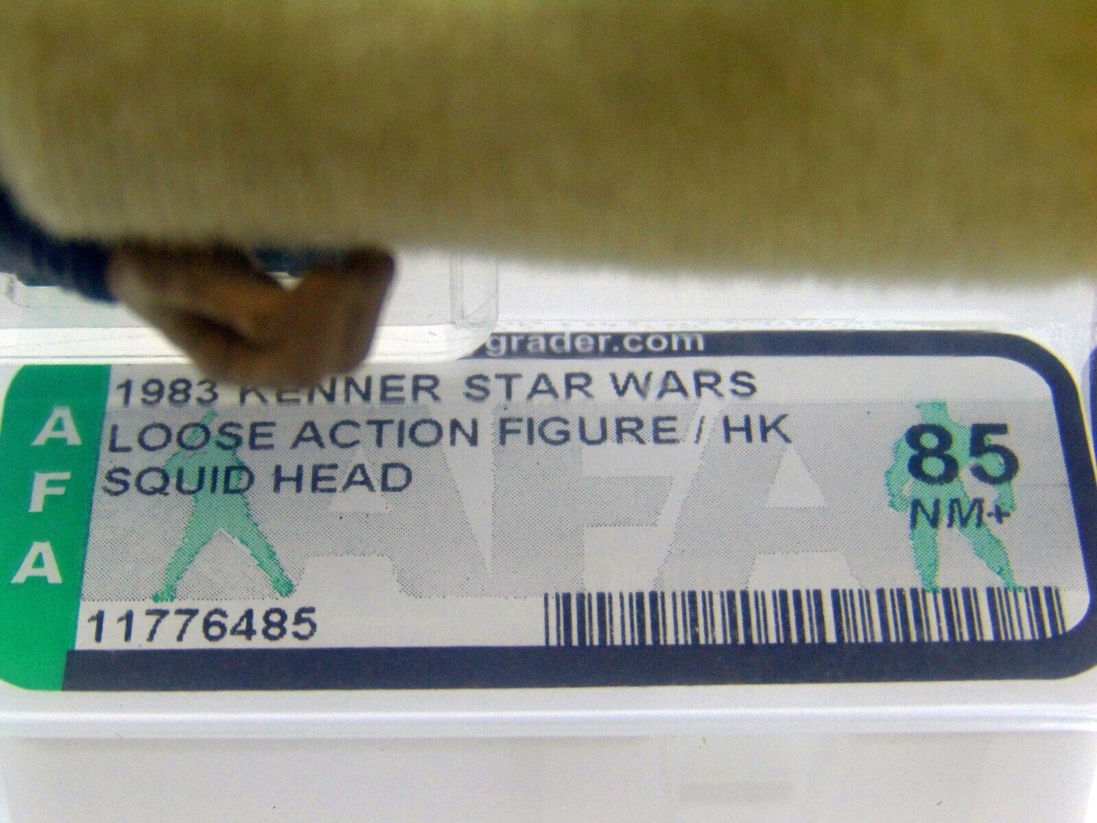 Squid Head sold