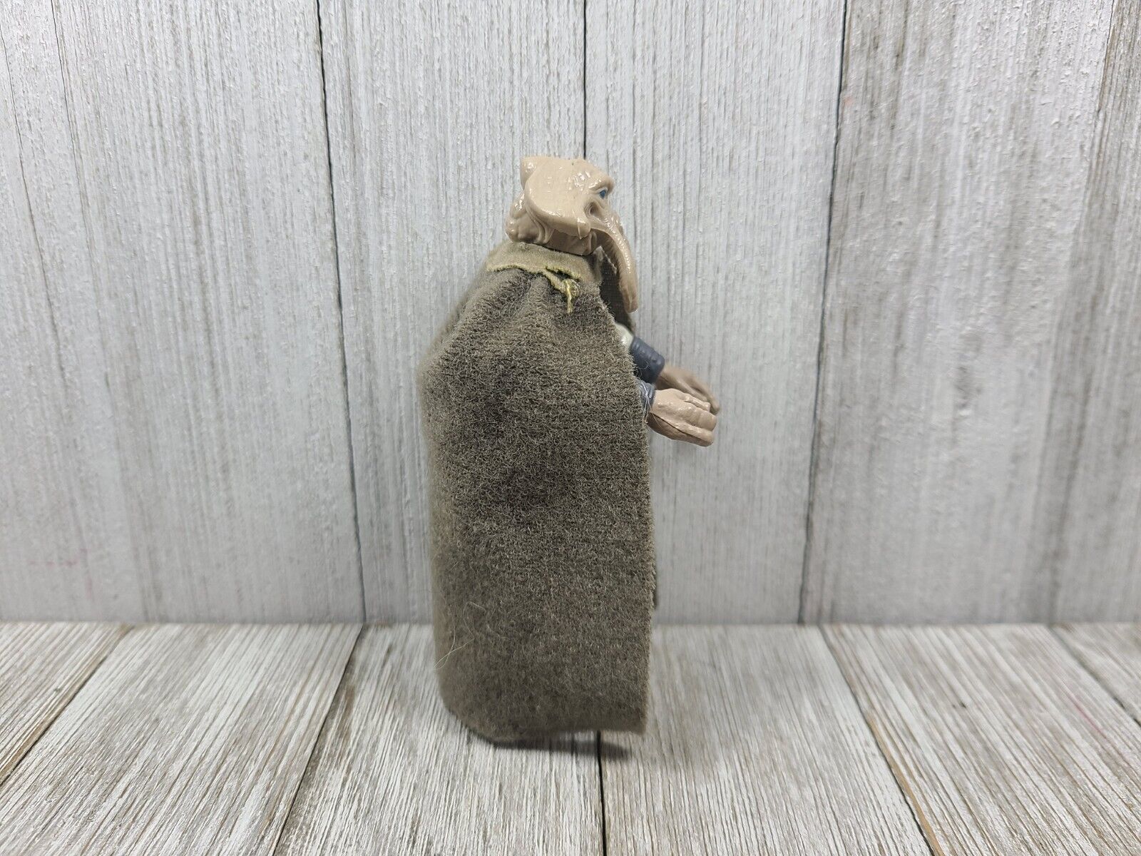 Squid Head sold
