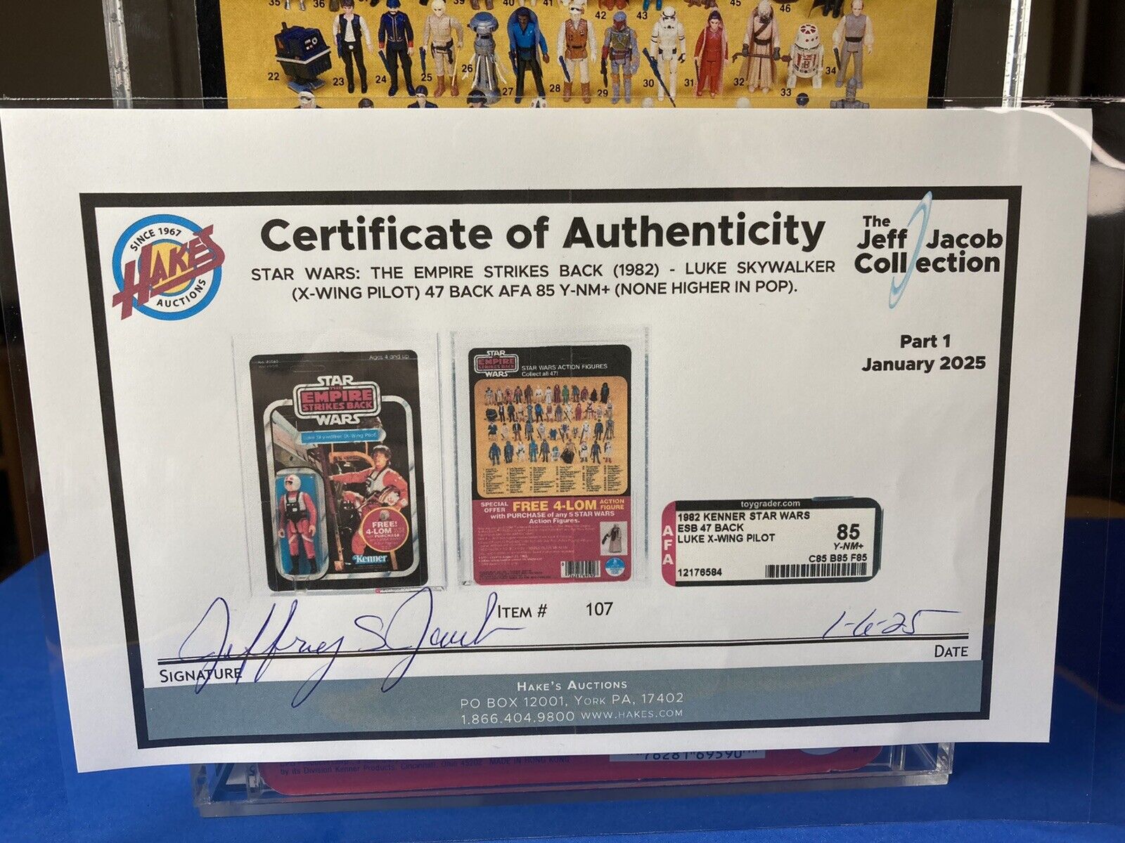 Luke Skywalker (X-Wing Fighter Pilot) sold
