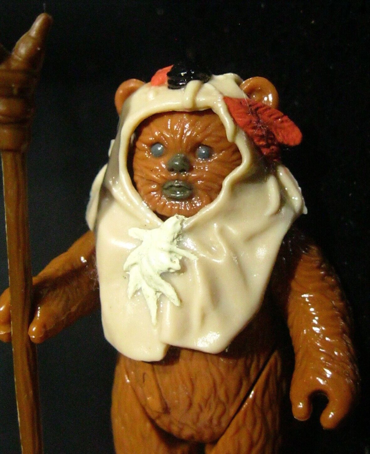 Paploo sold