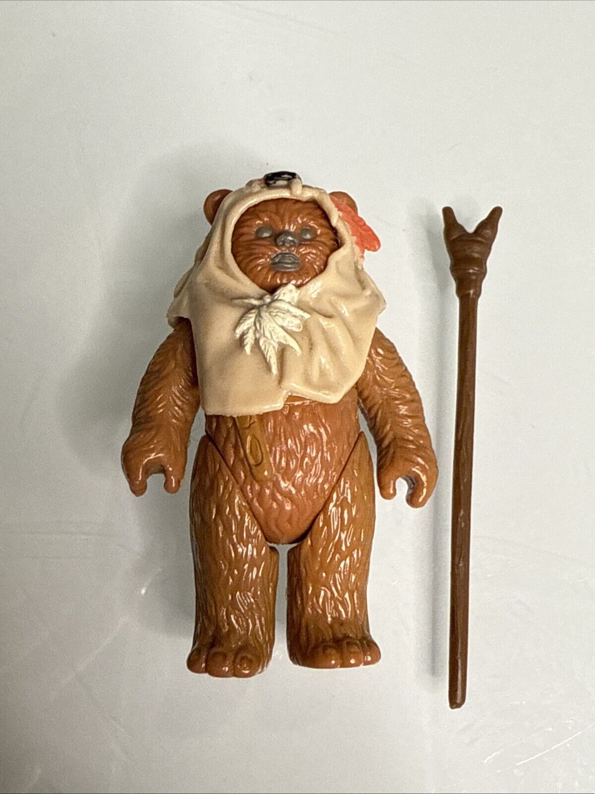 Paploo sold