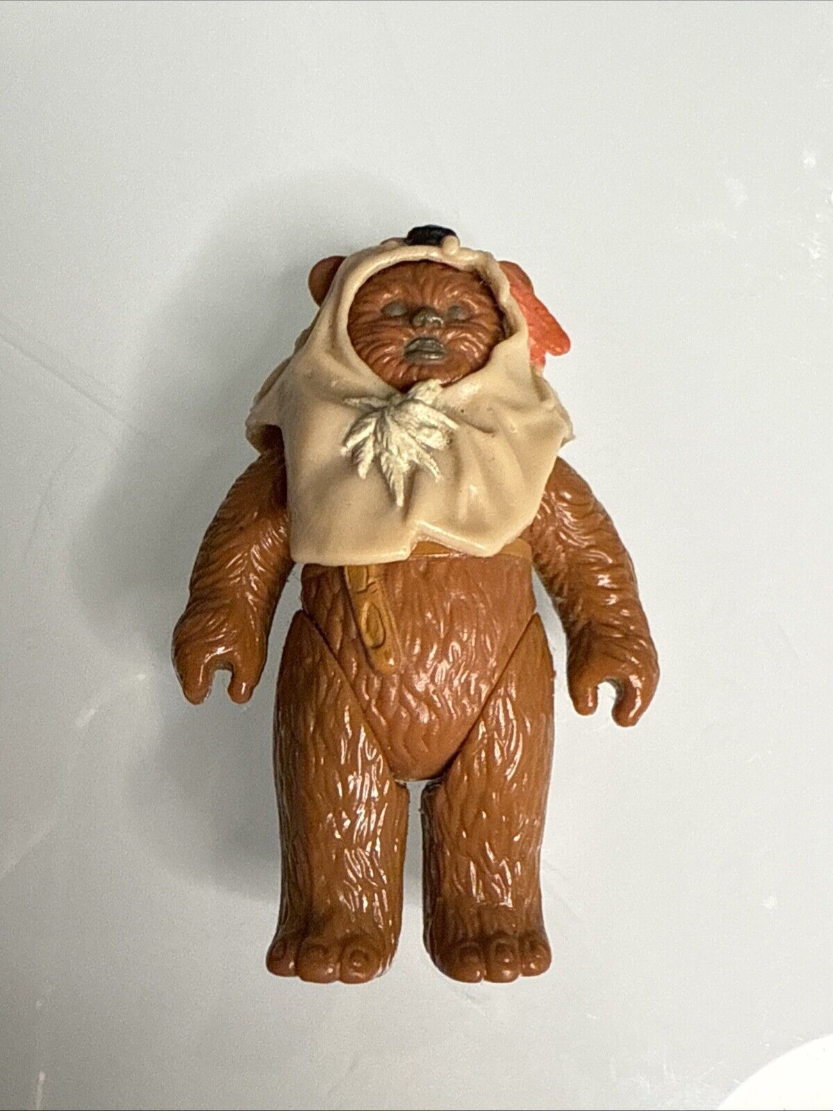 Paploo sold