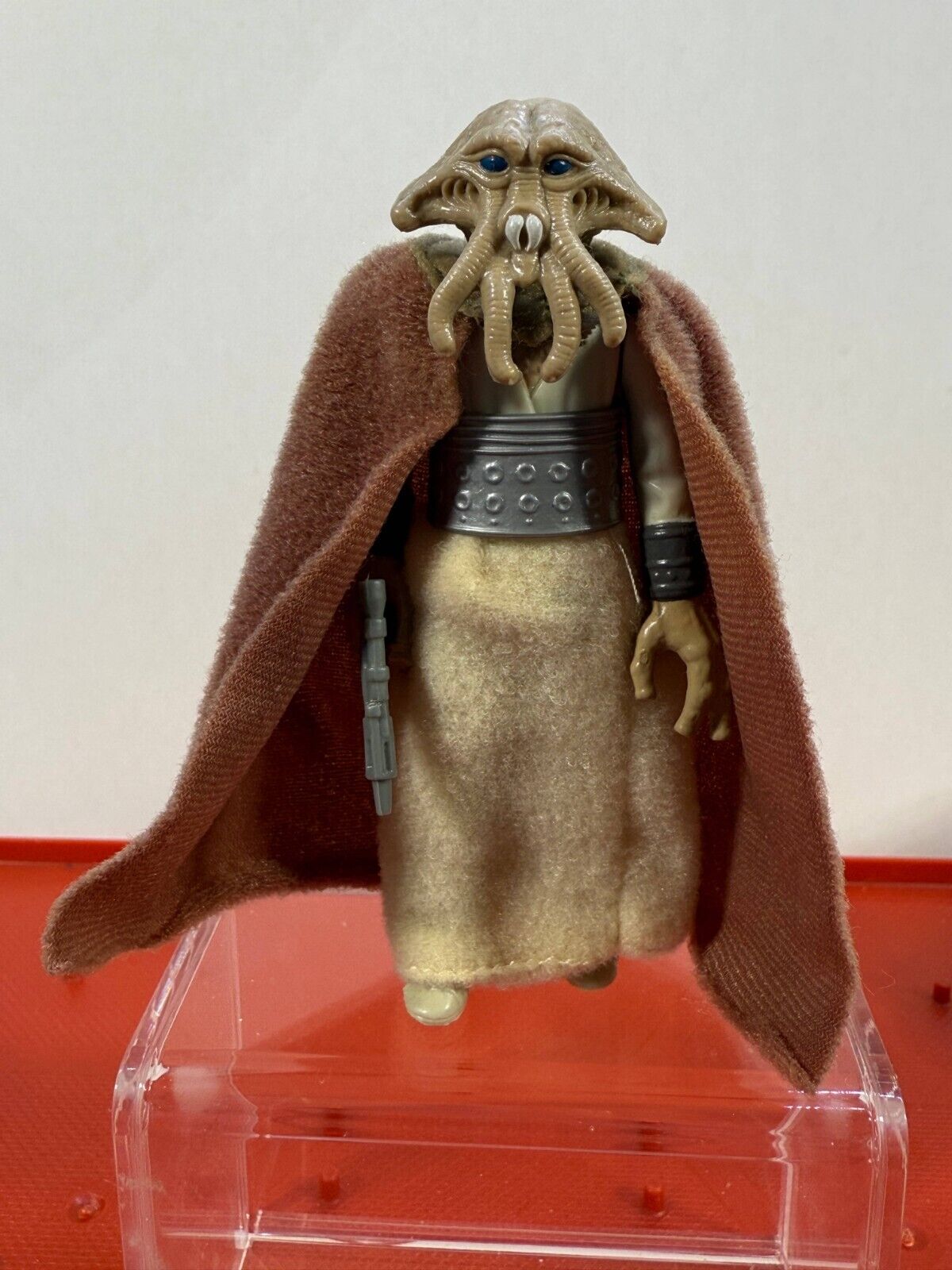 Squid Head sold