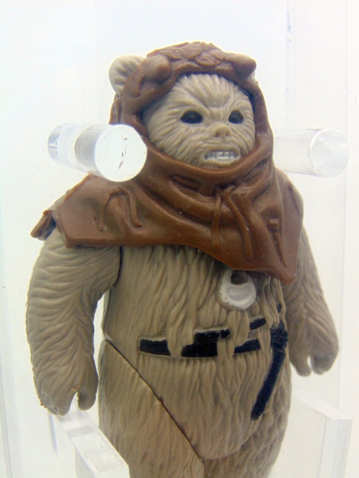 Chief Chirpa sold