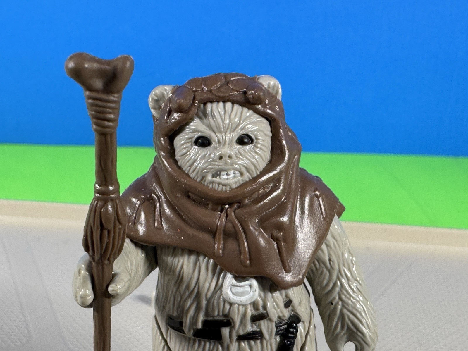 Chief Chirpa sold