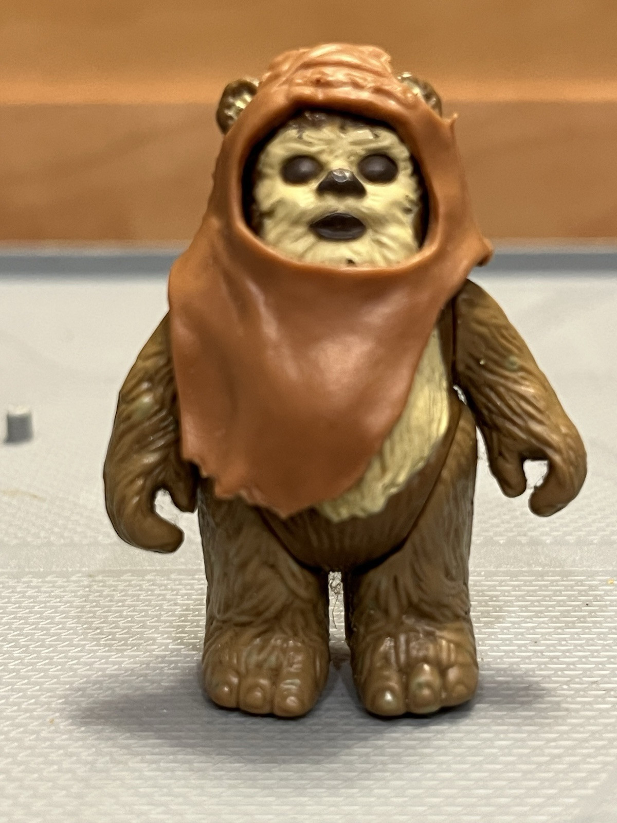 Wicket W. Warrick sold