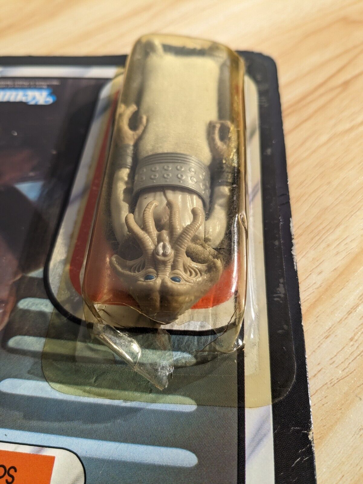 Squid Head sold