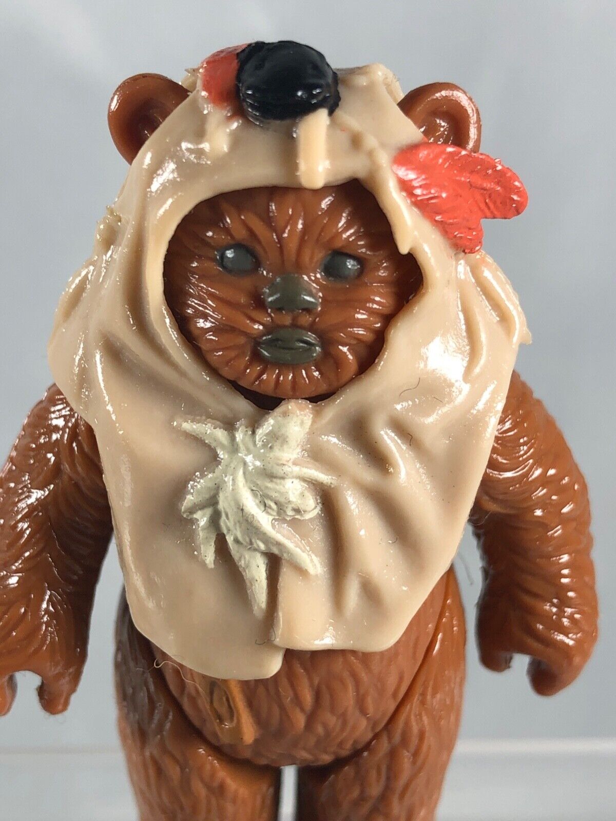 Paploo sold