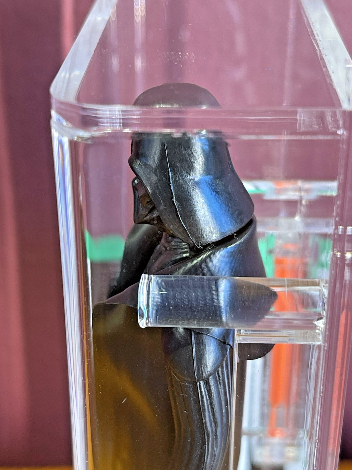 Darth Vader sold