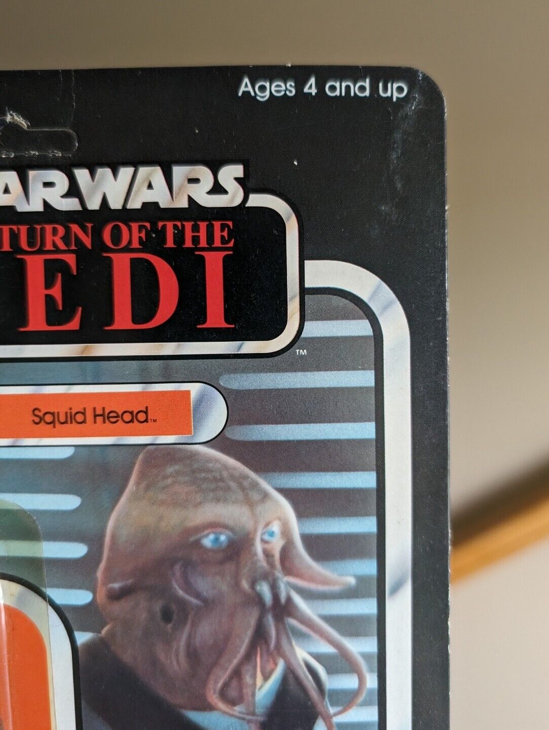 Squid Head sold