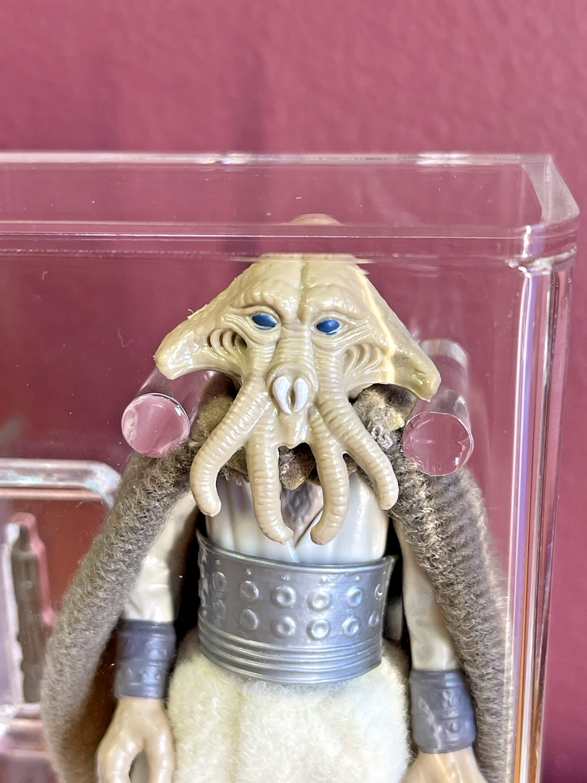 Squid Head sold