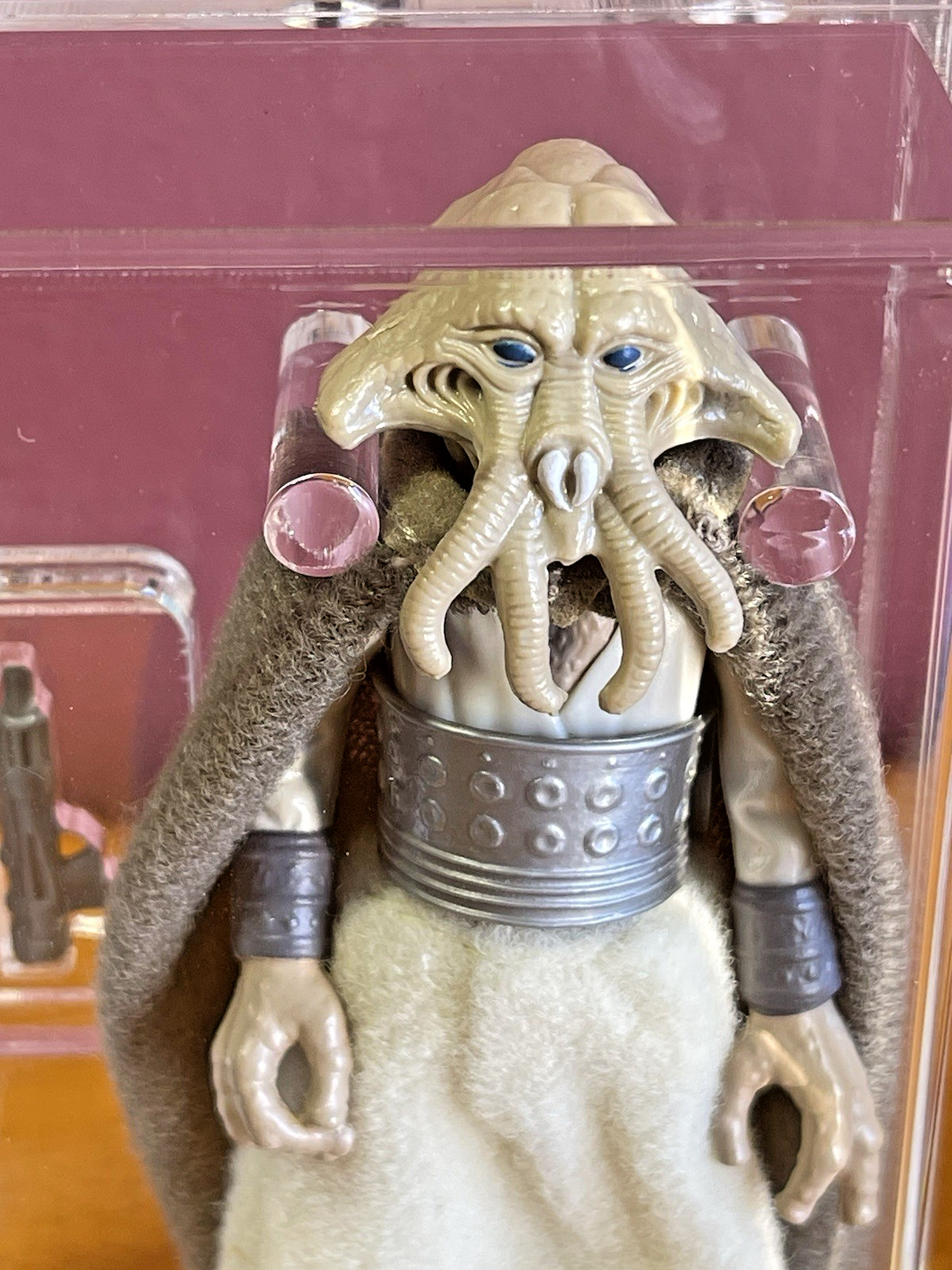 Squid Head sold