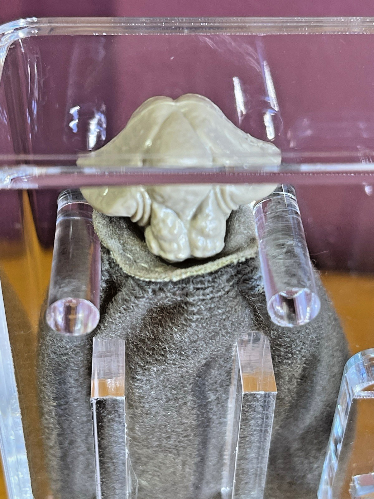 Squid Head sold