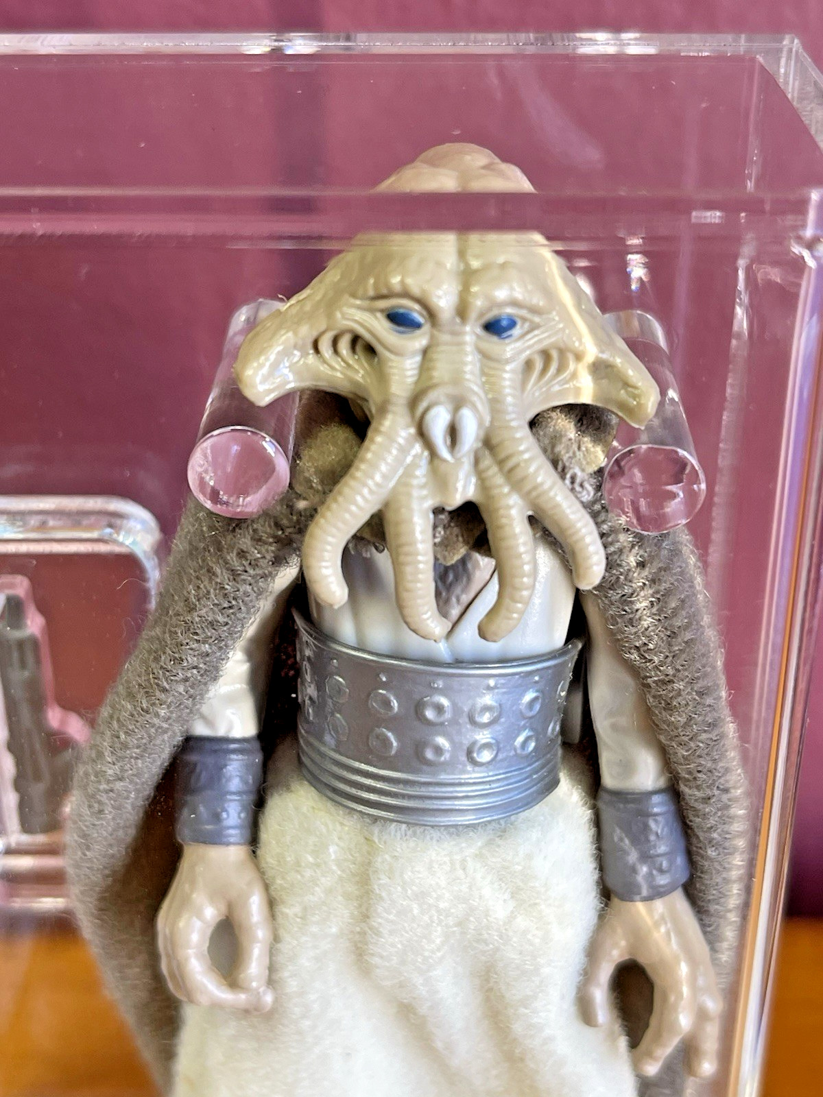 Squid Head sold