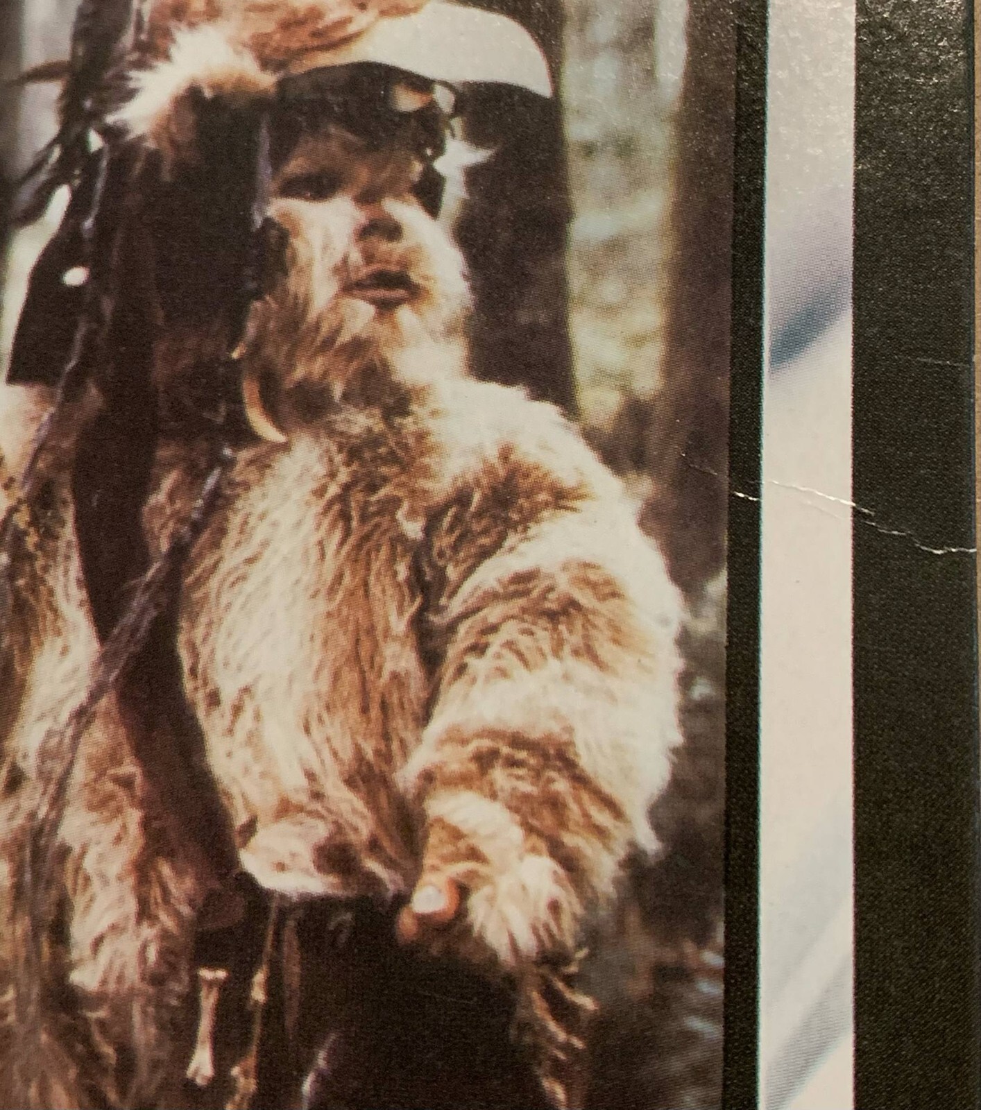 Logray (Ewok Medicine Man) sold