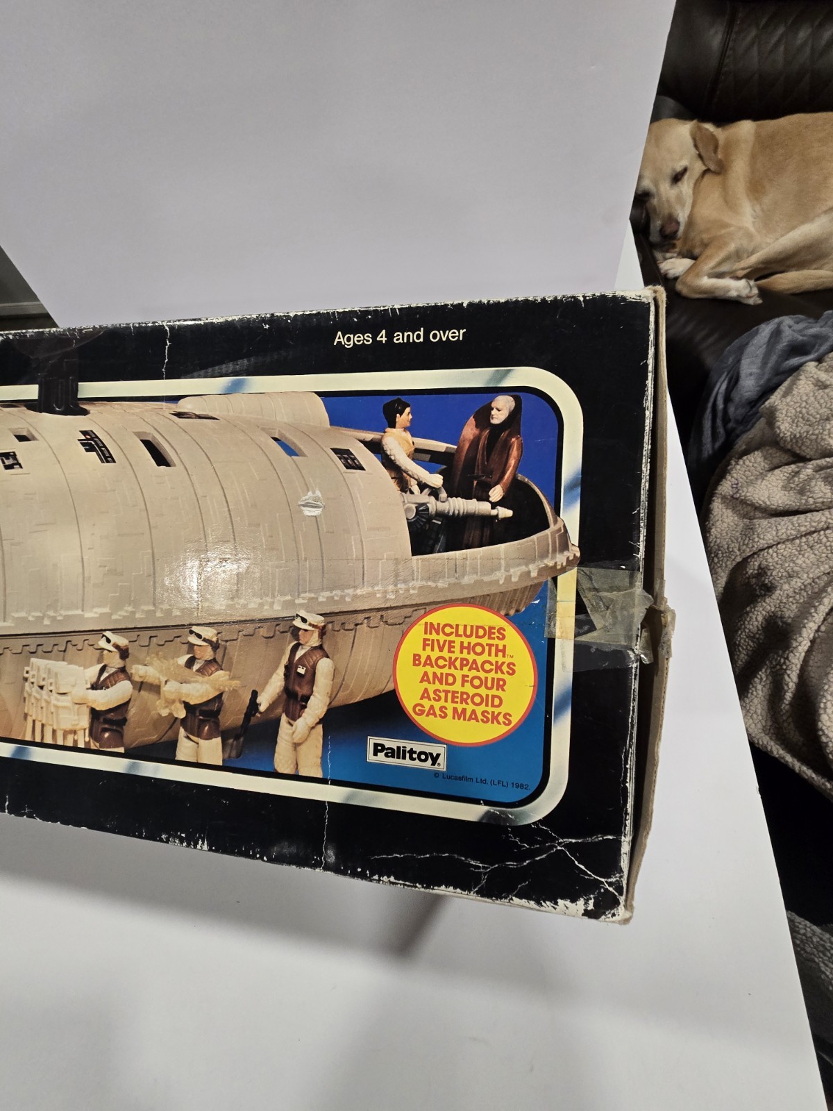 Rebel Transport sold