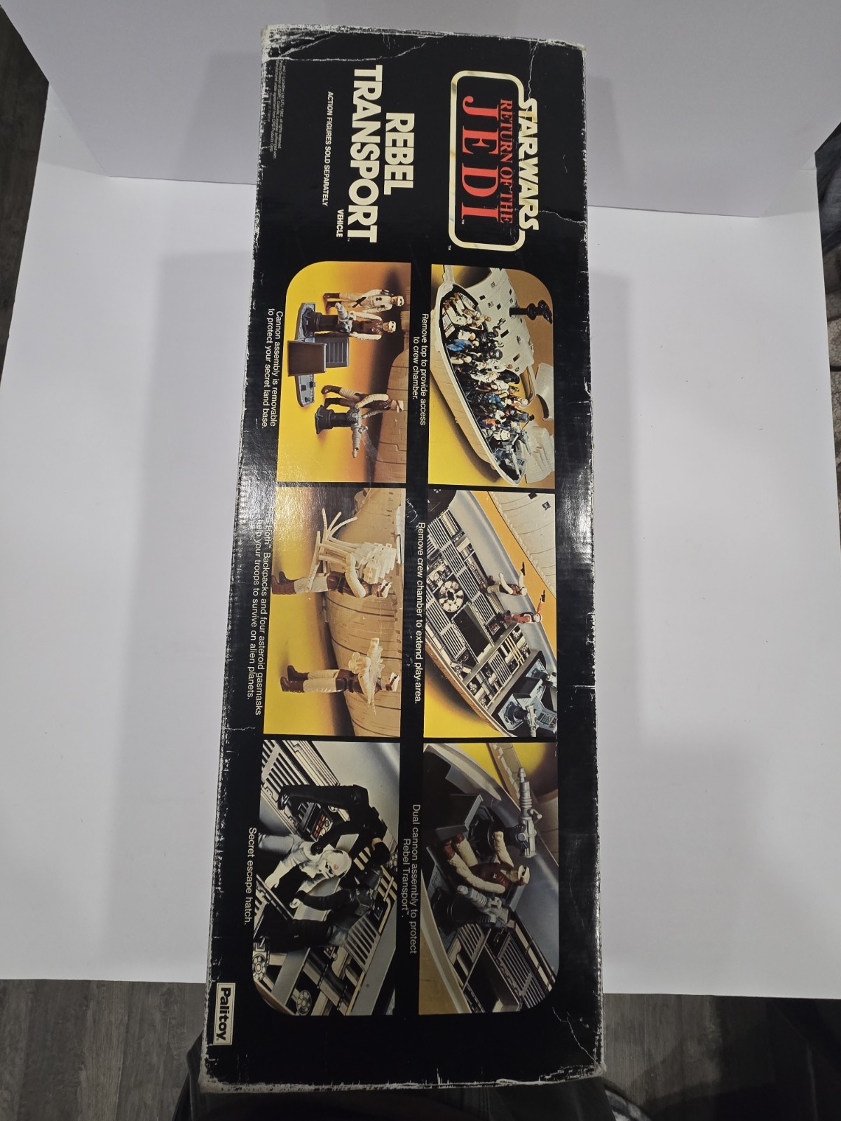 Rebel Transport sold