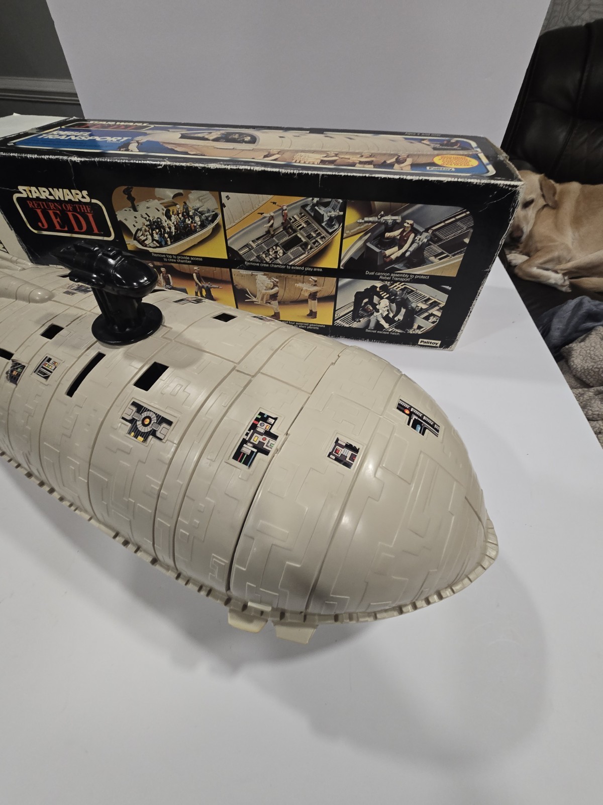 Rebel Transport sold