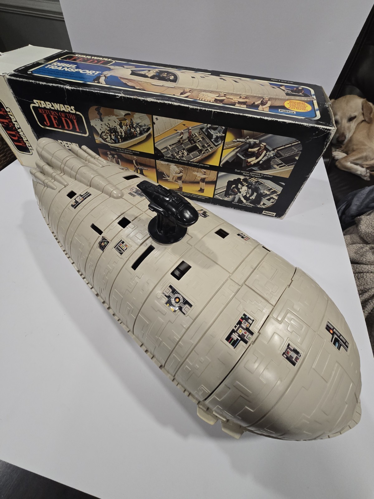 Rebel Transport sold