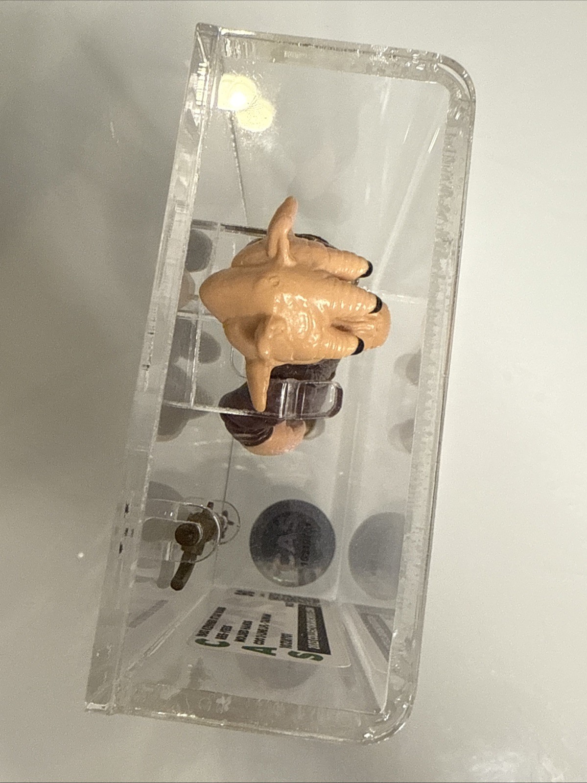 Ree-Yees sold