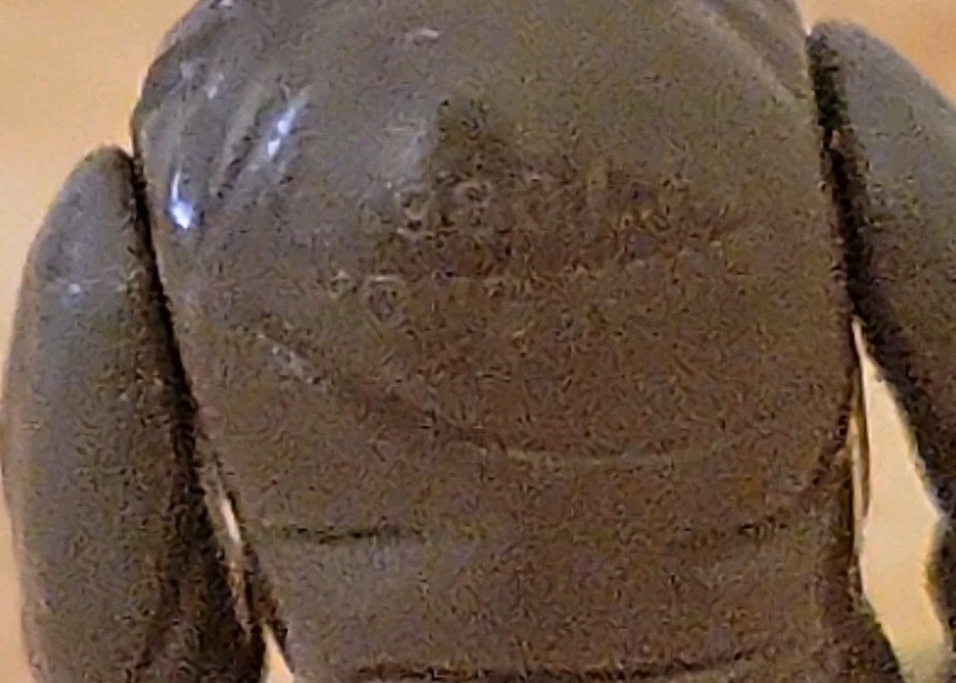 Yoda, The Jedi Master sold