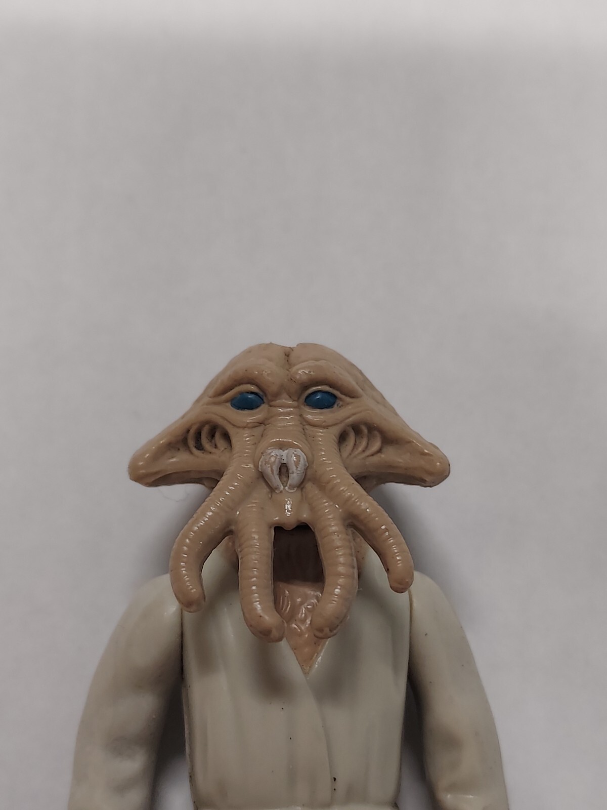 Squid Head sold