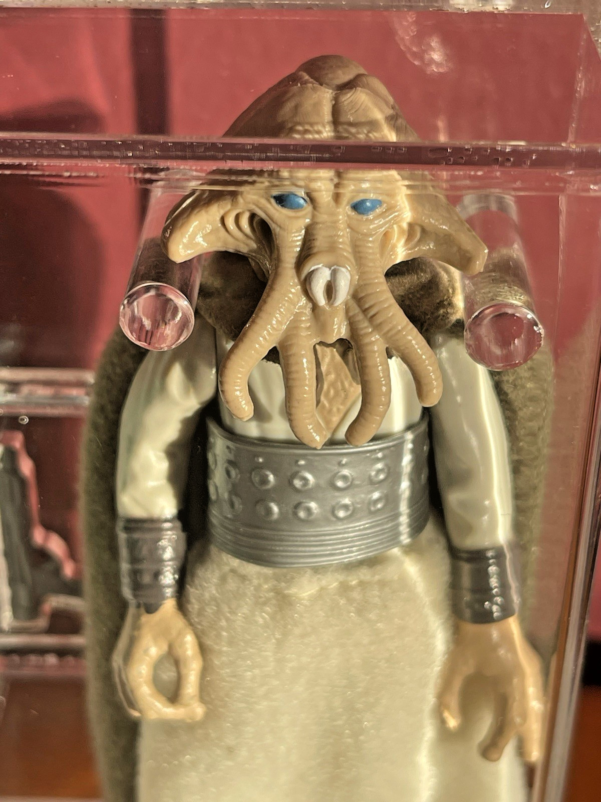 Squid Head sold