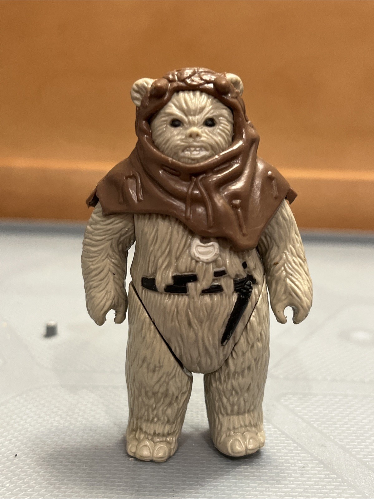 Chief Chirpa sold