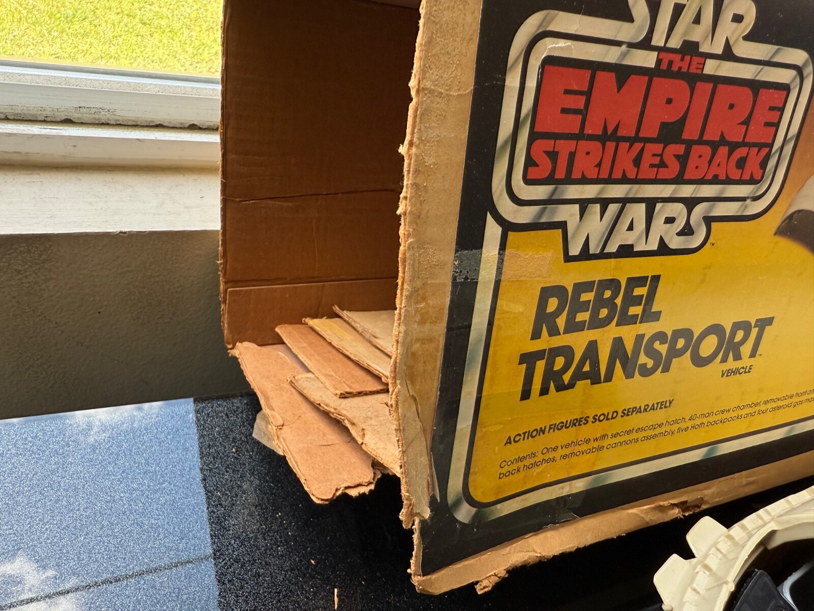 Rebel Transport sold