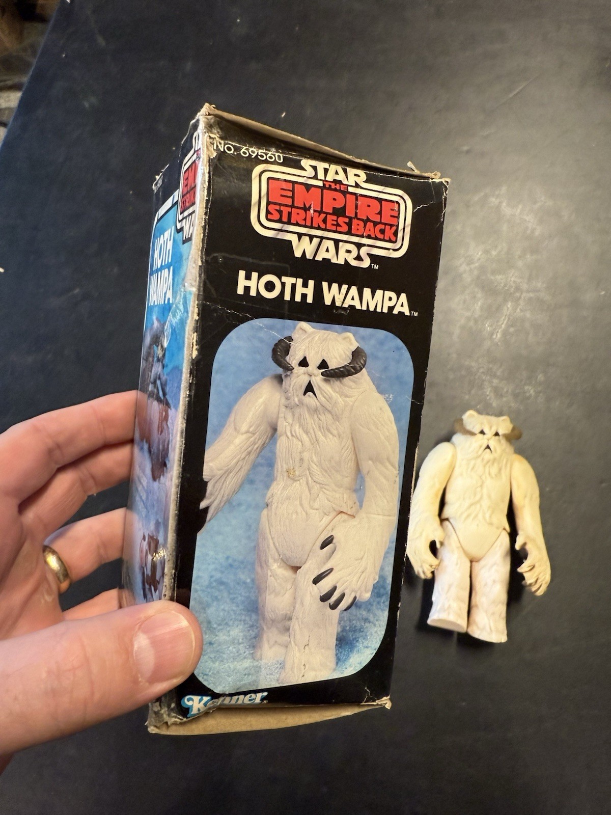Wampa sold