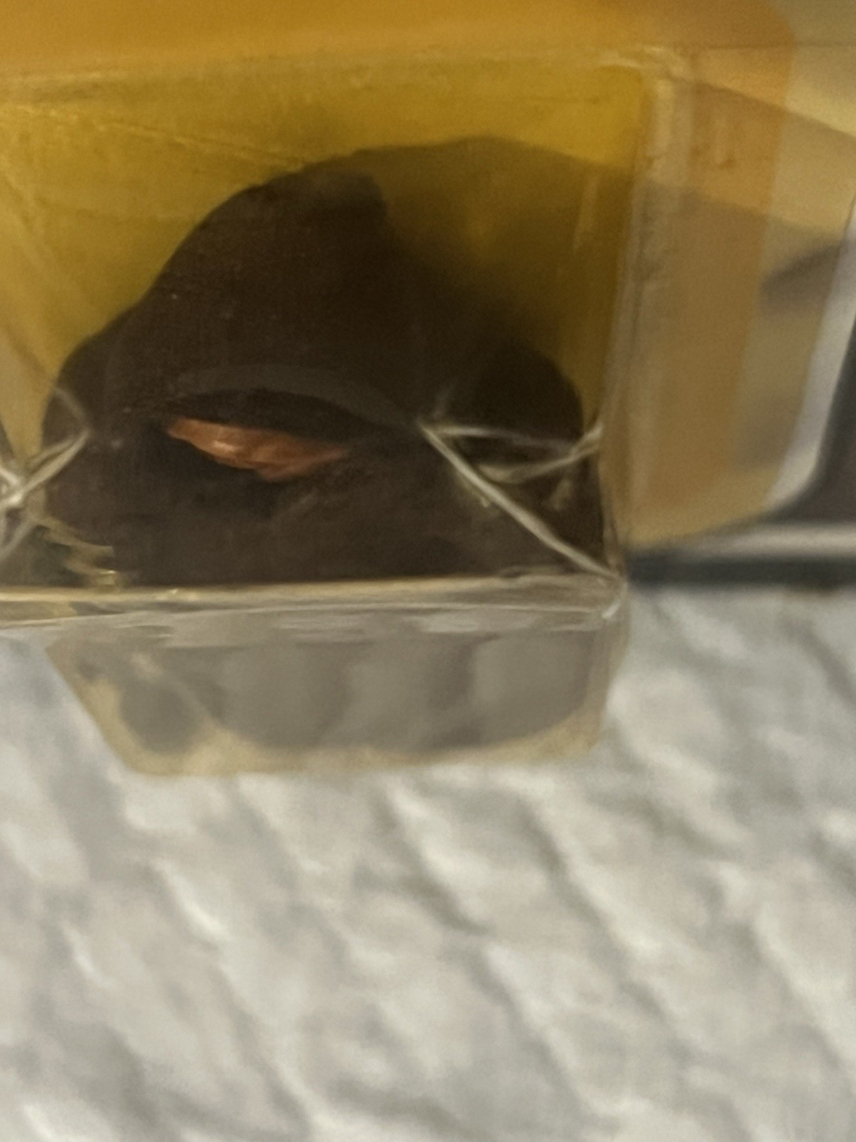 Jawa sold
